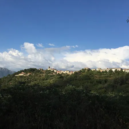 Dei Campi